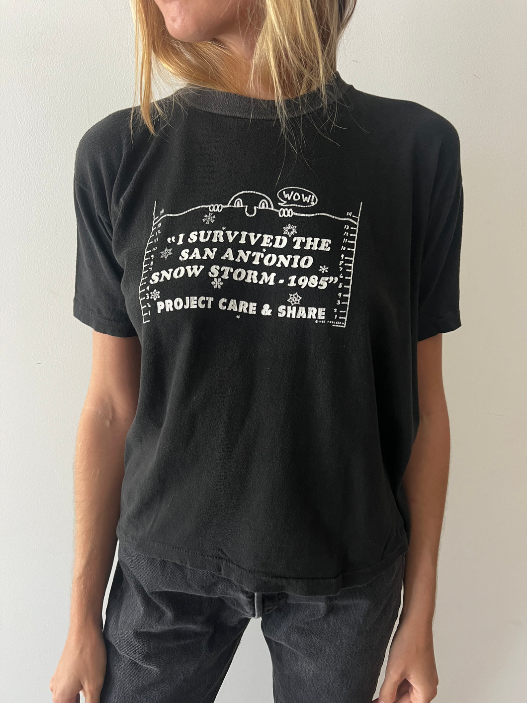 I Survived The San Antonio Snow Storm Tee