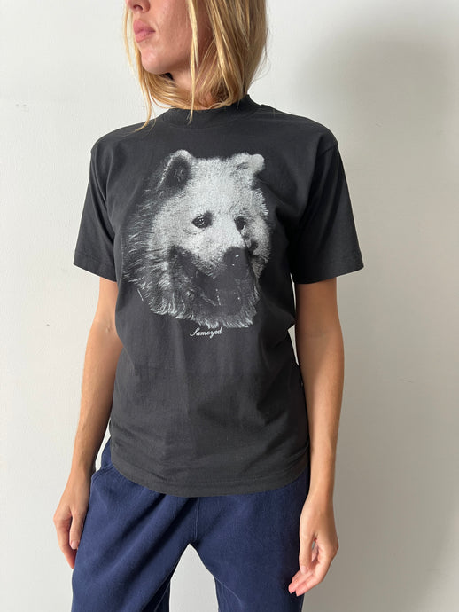 Samoyed Dog tee