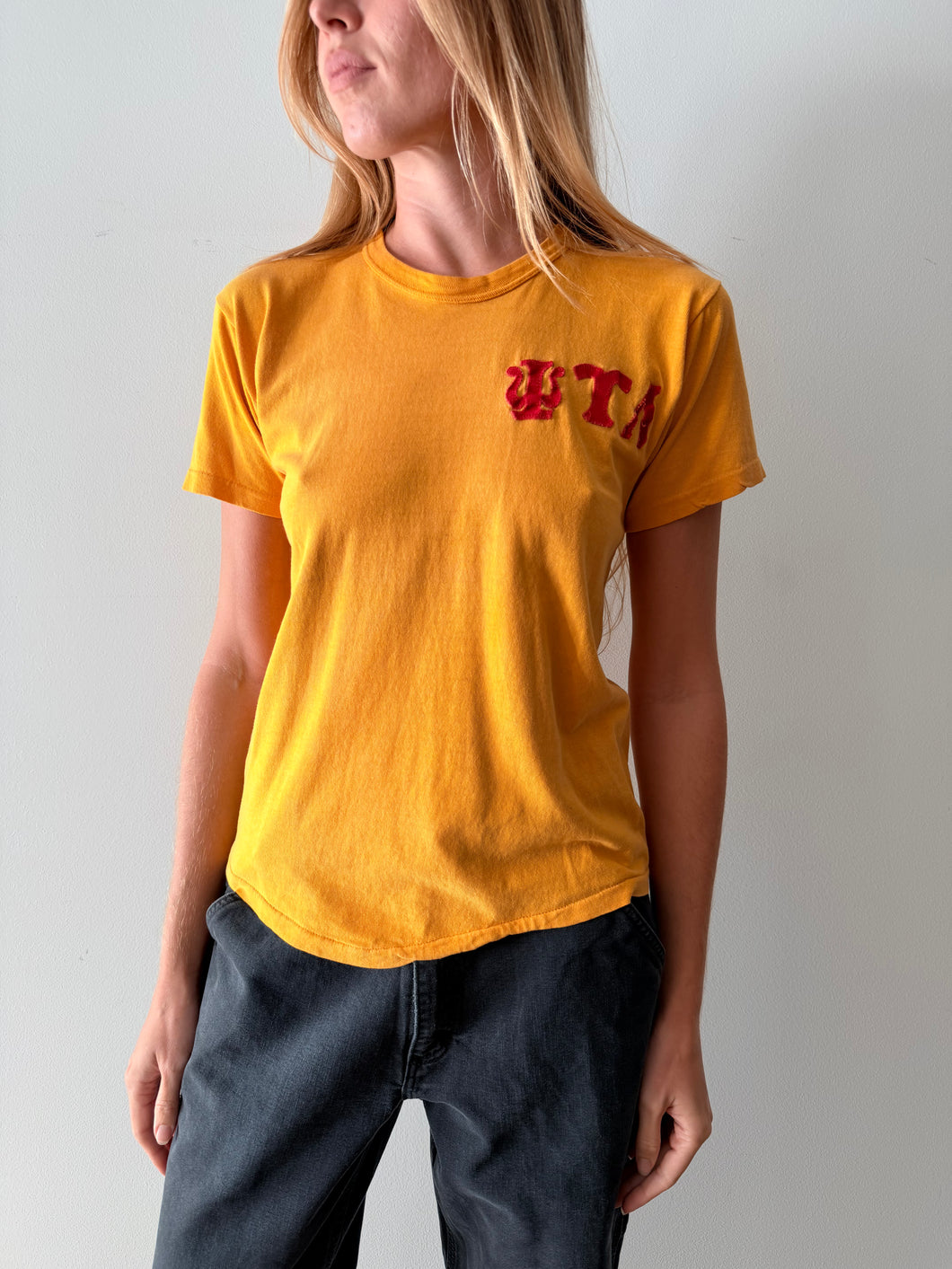 60s Psi Upsilon Lambda Homemade Tee