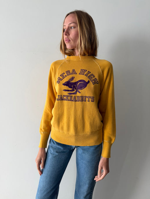 50s Mesa High Jackrabbits Sweatshirt