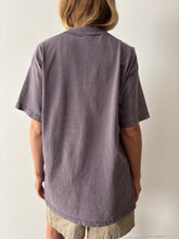 faded Dolphin Tee